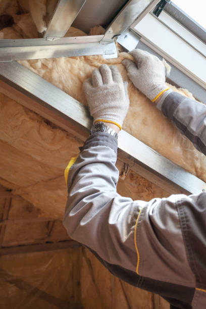  Nevada, TX Insulation Contractor Pros